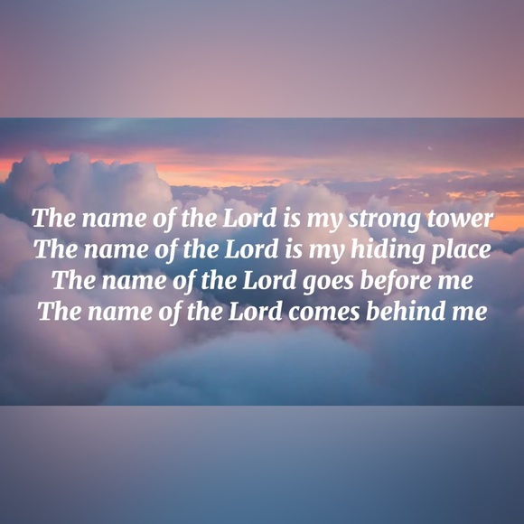 Meet your Posher, Donni - Picture 6 of 17